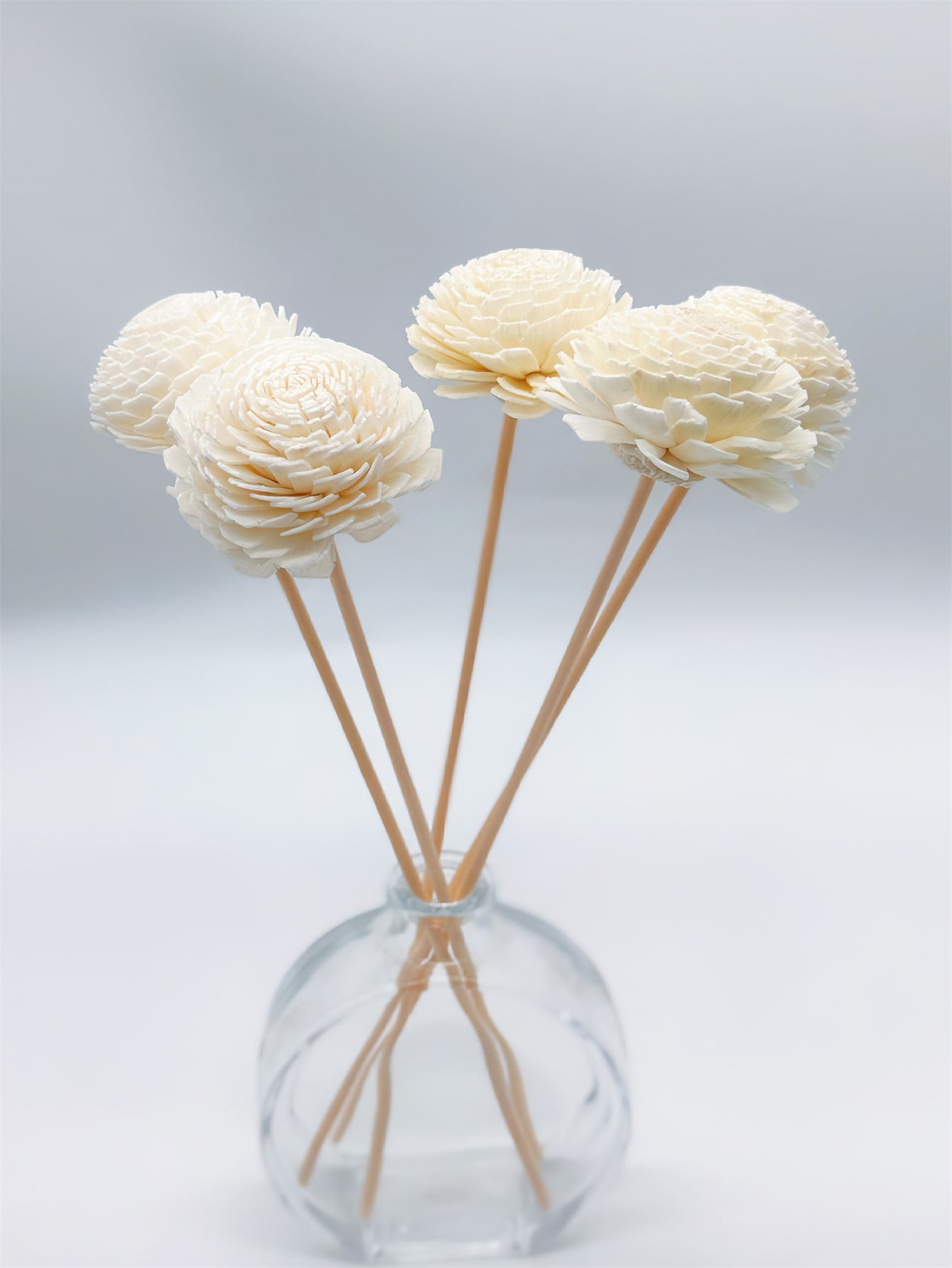 5-Piece Set Of Tongcao Flower Diffuser Dried Flower DIY Fireless Aromatherapy Volatile Stick Fiber Indoor Diffusion Fragrance,Halloween,Spooky,Autumn,Christmas,Winter,Holiday,Festival