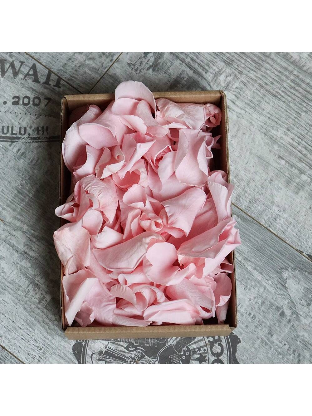 100pcs Diy Dried Flower Bag Natural Rose/Babybreath/Eucalyptus/Lover Grass /Lagurus/Bunny Tails Bulk Lavender Daisy Preserved Dried Flower Material Package Heads For Decoration