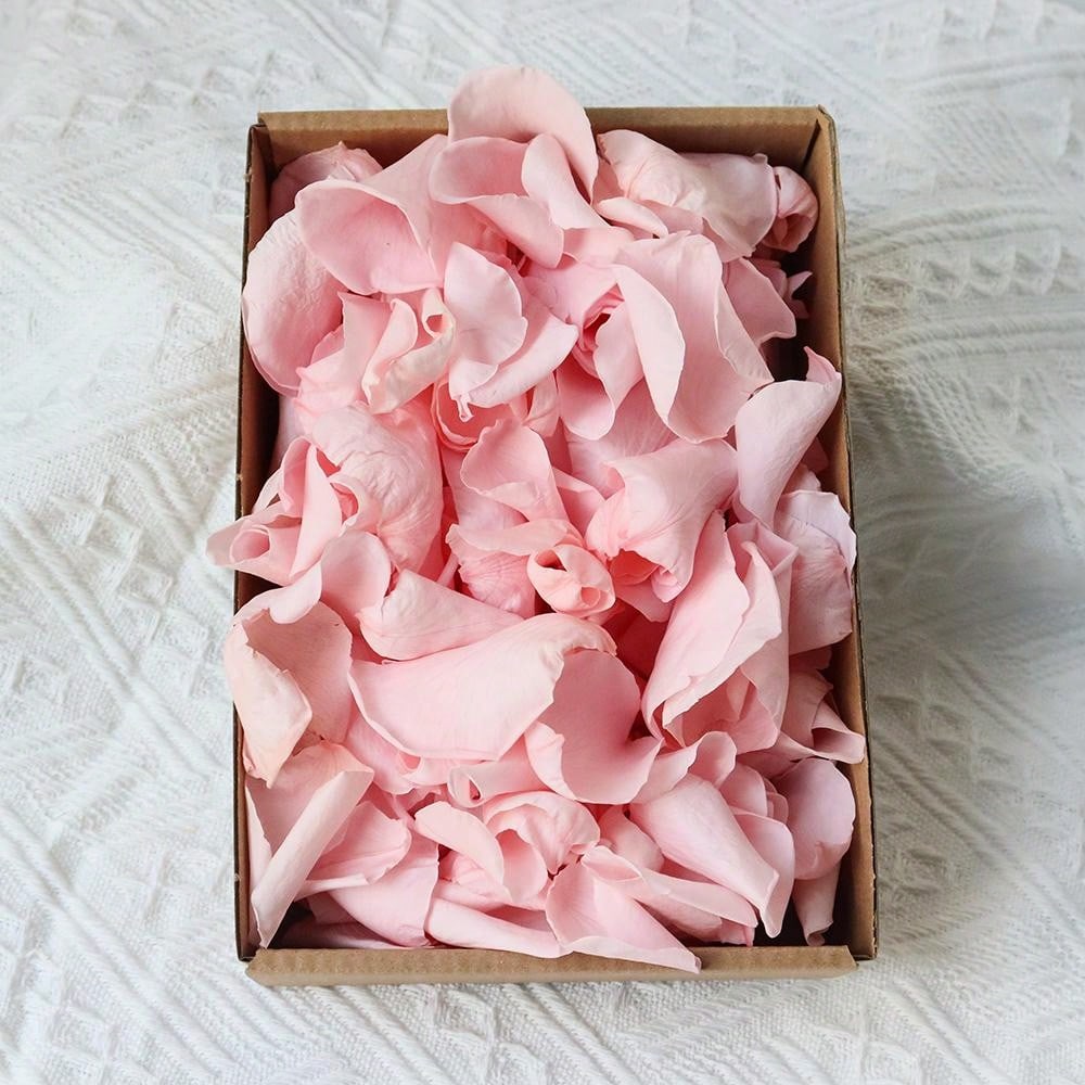 100pcs Diy Dried Flower Bag Natural Rose/Babybreath/Eucalyptus/Lover Grass /Lagurus/Bunny Tails Bulk Lavender Daisy Preserved Dried Flower Material Package Heads For Decoration