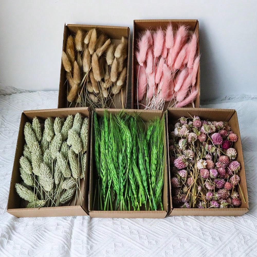 100pcs Diy Dried Flower Bag Natural Rose/Babybreath/Eucalyptus/Lover Grass /Lagurus/Bunny Tails Bulk Lavender Daisy Preserved Dried Flower Material Package Heads For Decoration