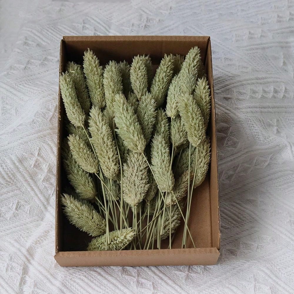 100pcs Diy Dried Flower Bag Natural Rose/Babybreath/Eucalyptus/Lover Grass /Lagurus/Bunny Tails Bulk Lavender Daisy Preserved Dried Flower Material Package Heads For Decoration