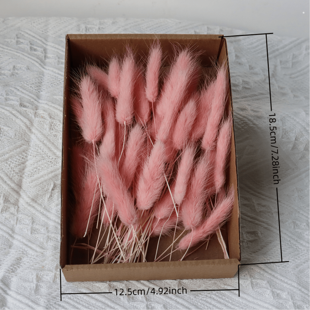 100pcs Diy Dried Flower Bag Natural Rose/Babybreath/Eucalyptus/Lover Grass /Lagurus/Bunny Tails Bulk Lavender Daisy Preserved Dried Flower Material Package Heads For Decoration