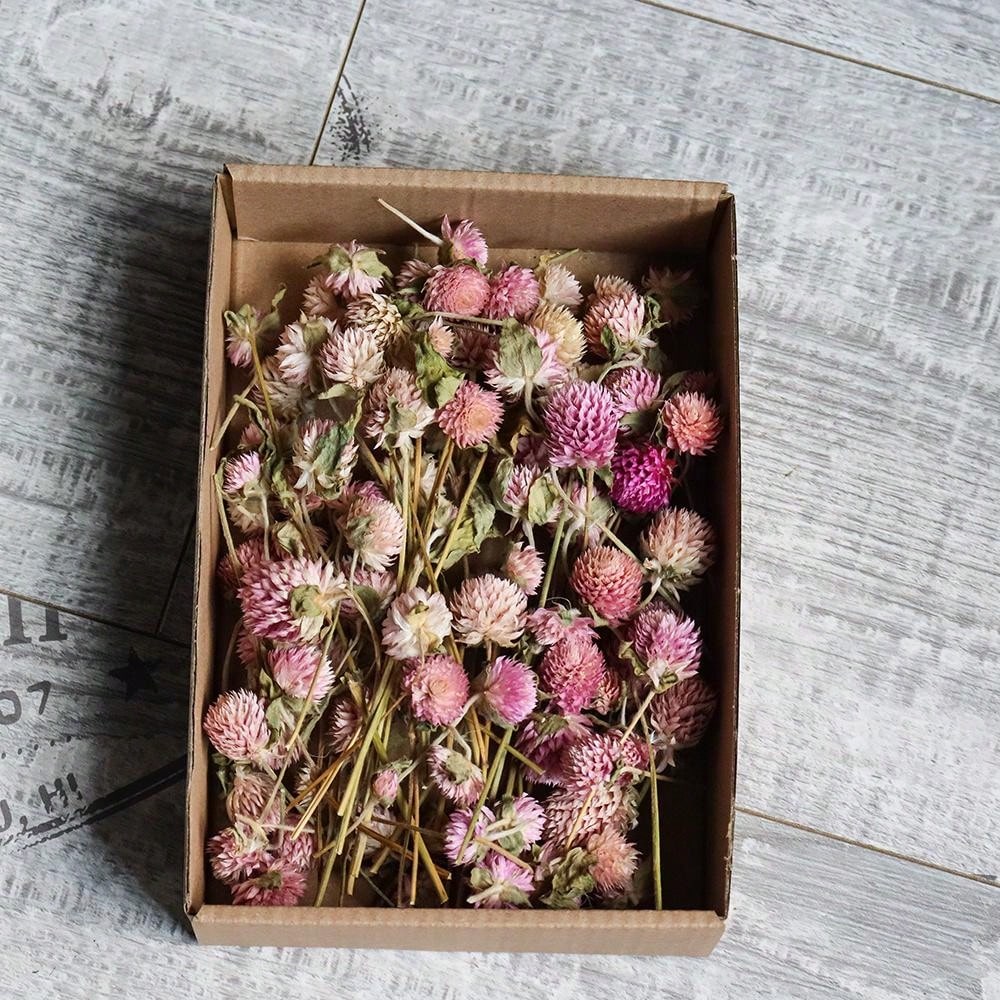 100pcs Diy Dried Flower Bag Natural Rose/Babybreath/Eucalyptus/Lover Grass /Lagurus/Bunny Tails Bulk Lavender Daisy Preserved Dried Flower Material Package Heads For Decoration