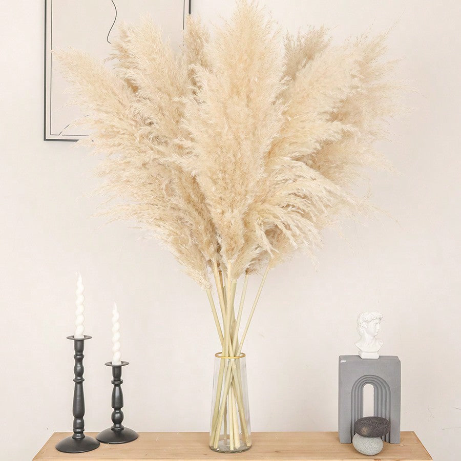 8/10/12/15/18/20/22pcs Fluffy Pampas Grass Dried Flowers, Boho Decor For Indoor Living Room, Kitchen, Bedroom, Outdoor, Especially Suitable For Wedding, Birthday Party, Autumn, And Christmas