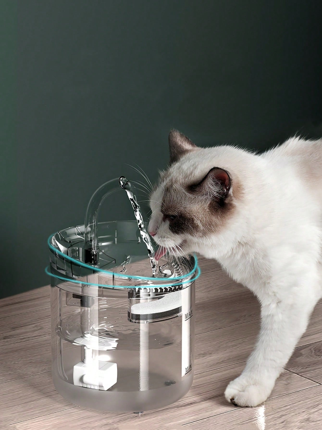 Pet Water Fountain, Automatic Cat Water Fountain, Transparent Ultra Quiet Cat Water Dispenser For Indoor Cats