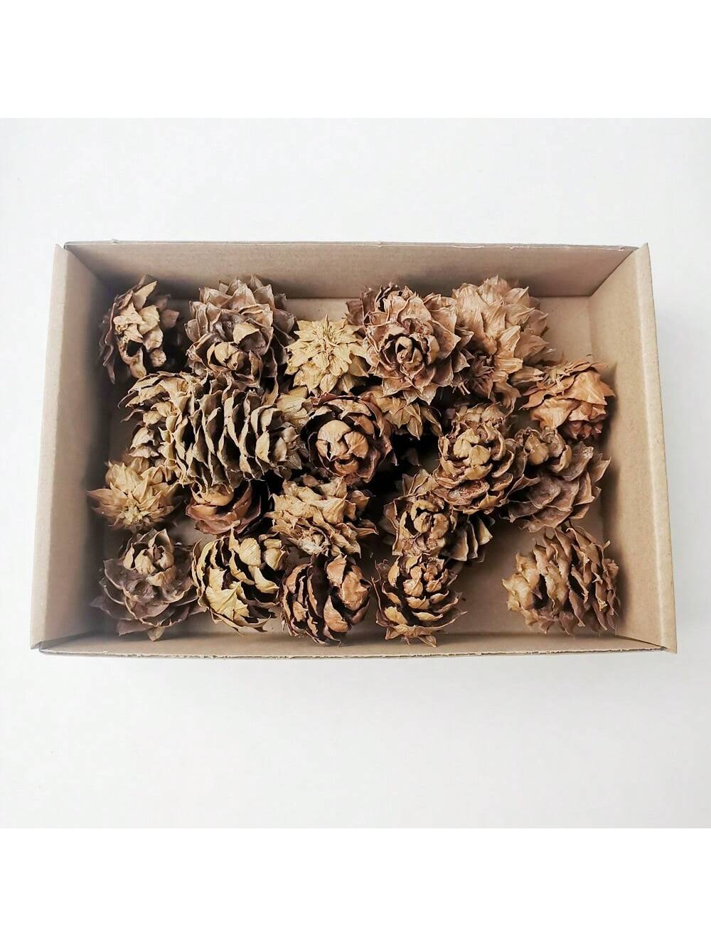 100pcs Diy Dried Flower Bag Natural Rose/Babybreath/Eucalyptus/Lover Grass /Lagurus/Bunny Tails Bulk Lavender Daisy Preserved Dried Flower Material Package Heads For Decoration