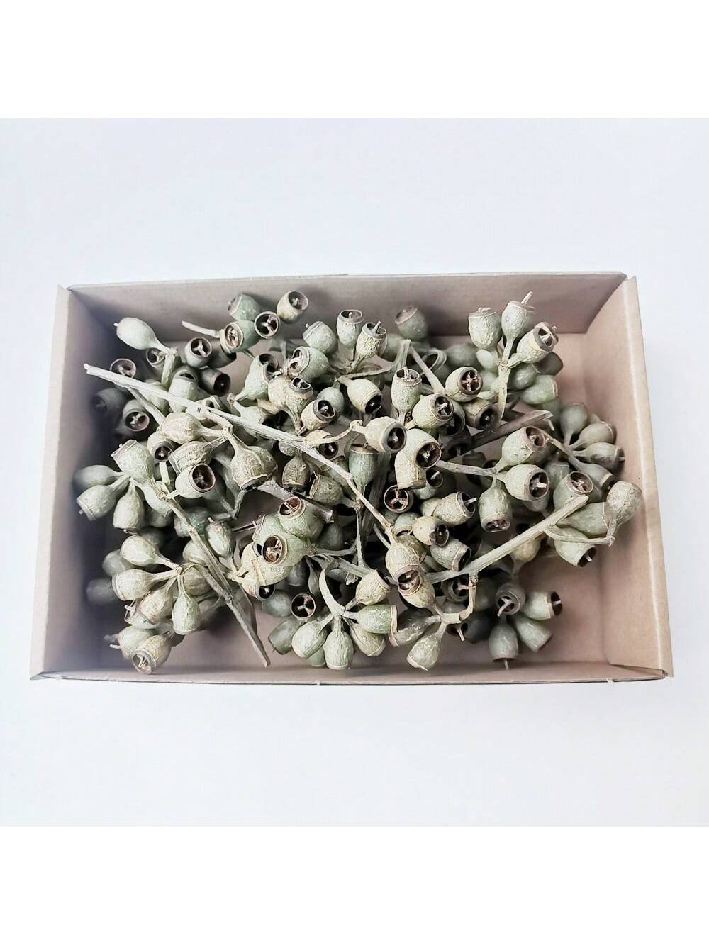 100pcs Diy Dried Flower Bag Natural Rose/Babybreath/Eucalyptus/Lover Grass /Lagurus/Bunny Tails Bulk Lavender Daisy Preserved Dried Flower Material Package Heads For Decoration