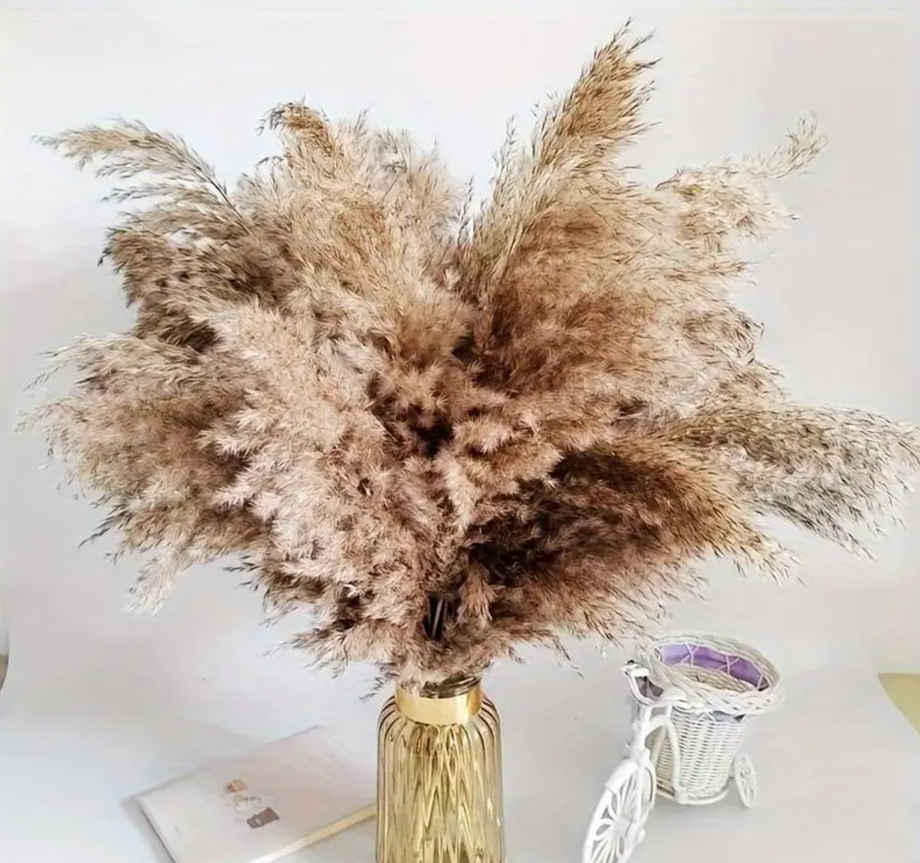 Thecookie 10pcs Natural Dried Reed Bouquet, Suitable for Home Decoration - Small Reed - 10pcs Natural Dried Reed, for Spring