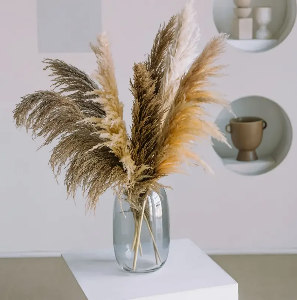 7/10 Pack Large Fluffy Pampas Grass Perfect for Bohemian Home & Outdoor Decor, Weddings & Holiday Celebrations (Halloween, Christmas, Thanksgiving)