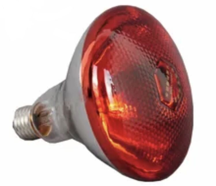 Infrared Brooder Heat Lamp Bulb 250W Max