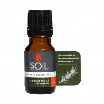 Soil Organic Essential oils - Cedarwood