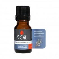 Soil Organic Essential oils - Eucalyptus