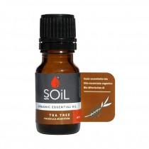 Soil Organic Essential oils - Tea Tree
